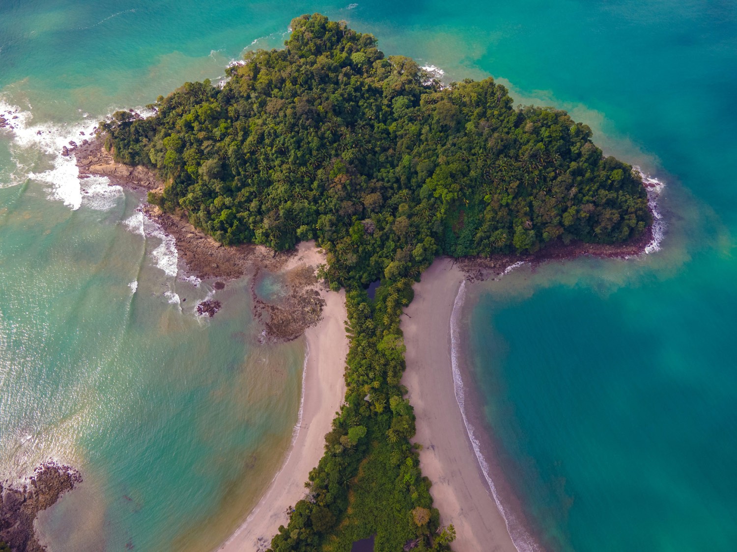 Pacific coastline from above
